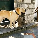 Archontiko Kantartzi