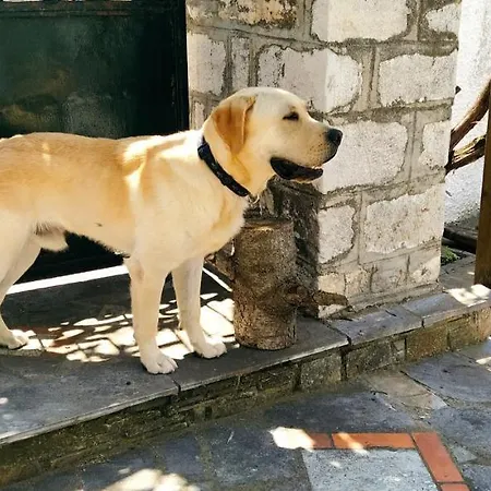 Archontiko Kantartzi