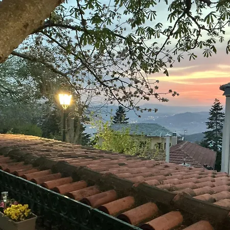 Archontiko Kantartzi Hotel Portariá