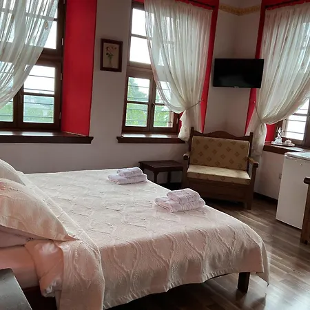 Archontiko Kantartzi Hotel Portariá