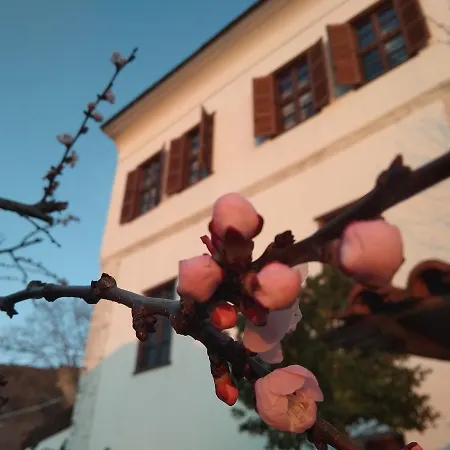 Archontiko Kantartzi Hotel 4*