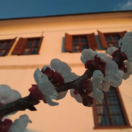 Archontiko Kantartzi Hotel