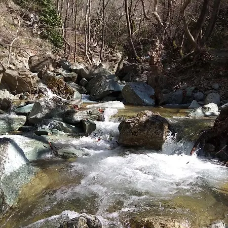 Archontiko Kantartzi 4* פורטאריה