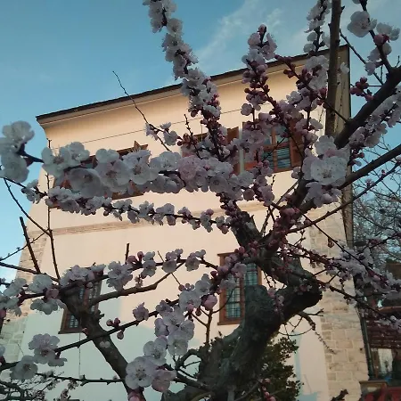 Archontiko Kantartzi Hotel 4*