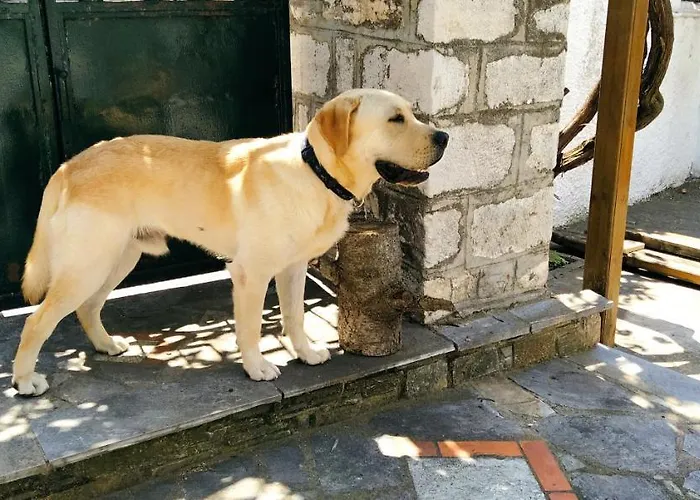 Archontiko Kantartzi