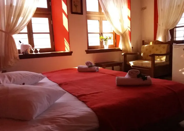 Отель Archontiko Kantartzi 4*