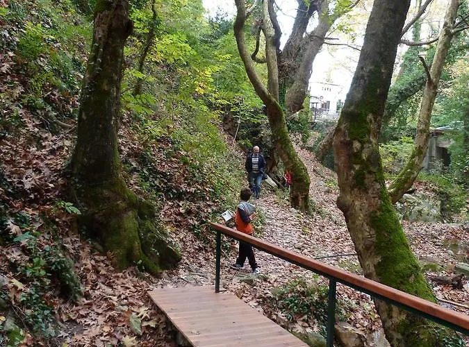 Отель Archontiko Kantartzi