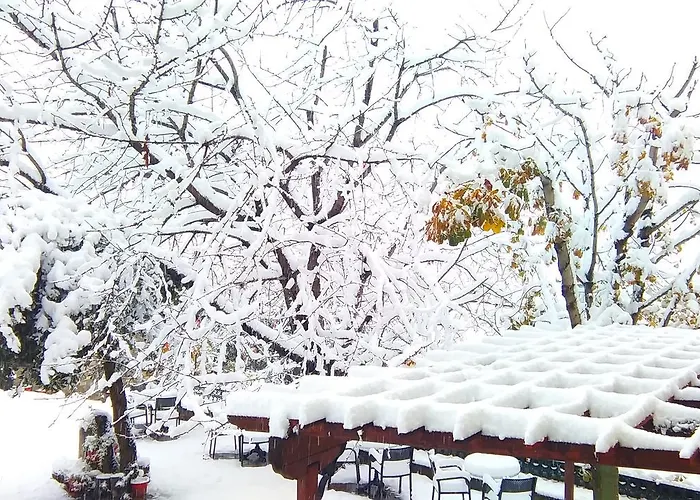 Отель Archontiko Kantartzi Портария