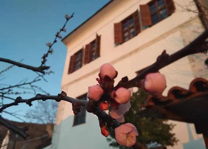 Archontiko Kantartzi Отель 4*