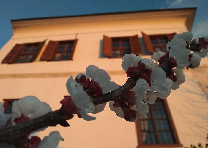 Archontiko Kantartzi Отель