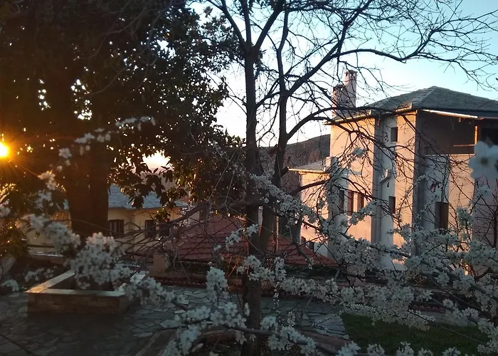 Archontiko Kantartzi 4* Портария