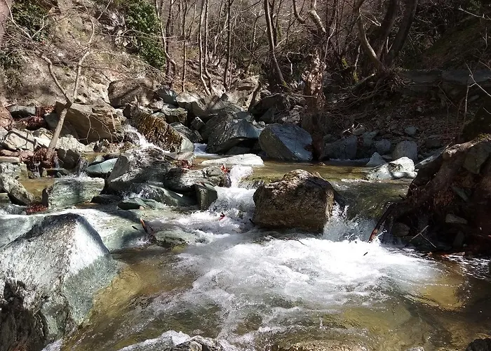 Archontiko Kantartzi 4* Портария