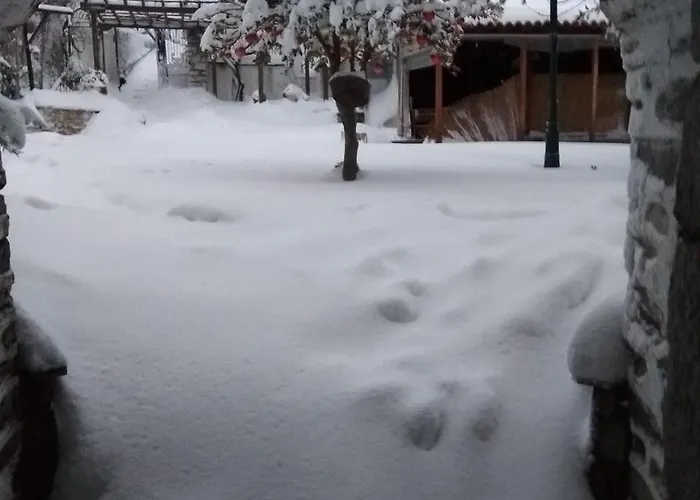 Archontiko Kantartzi 4*